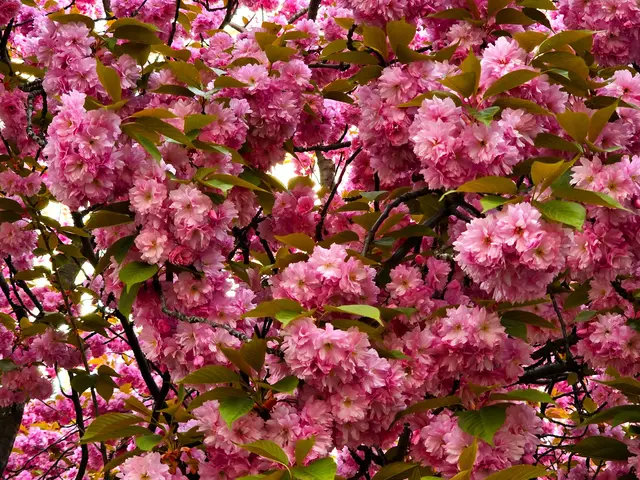 Foto: Heidrun Rosenberger