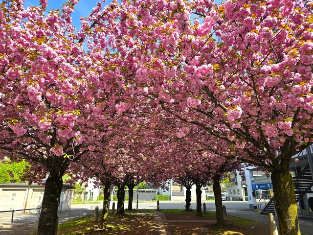 Foto: Heidrun Rosenberger