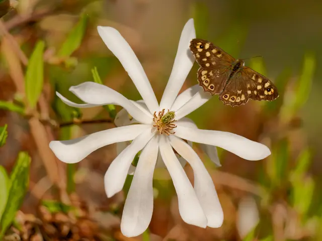 Foto: Eigenes Bild TB