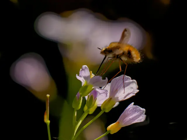 Foto: Eigenes Bild TB