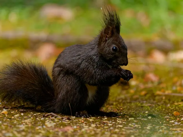 Foto: Eigenes Bild TB