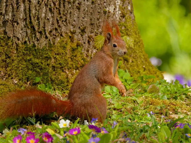 Foto: Eigenes Bild TB