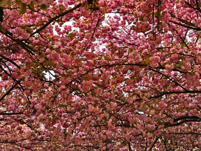 Foto: Heidrun Rosenberger