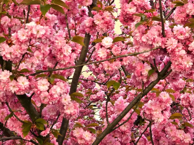 Foto: Heidrun Rosenberger