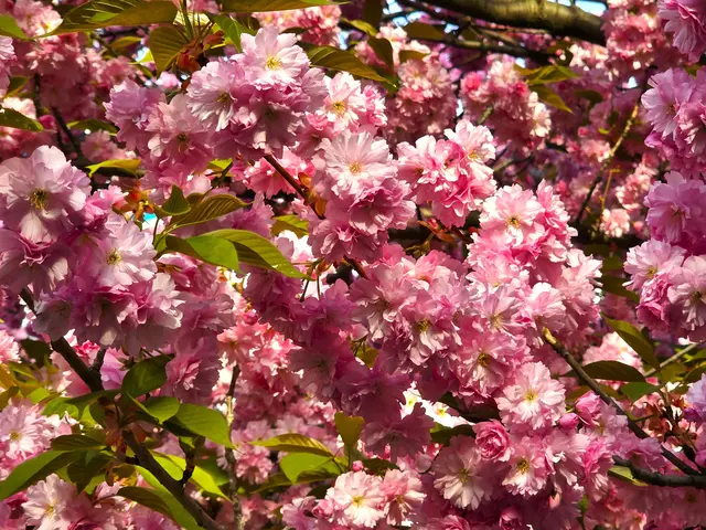 Foto: Heidrun Rosenberger