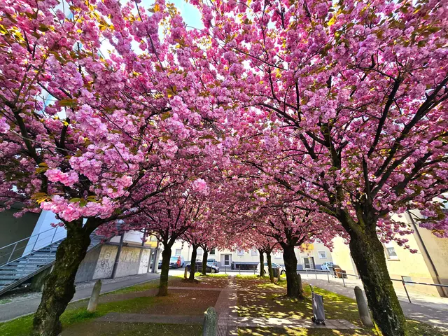 Foto: Heidrun Rosenberger