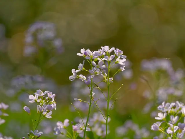 Foto: Eigenes Bild TB