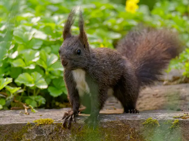 Foto: Eigenes Bild TB