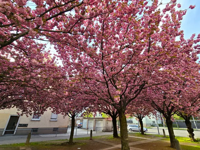 Foto: Heidrun Rosenberger