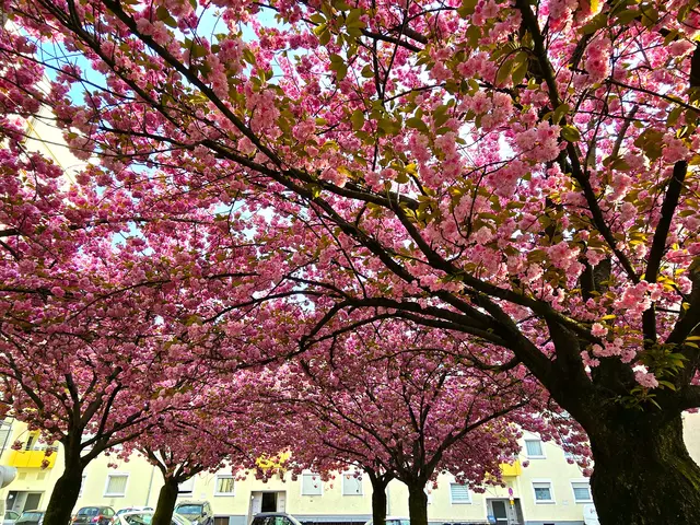 Foto: Heidrun Rosenberger