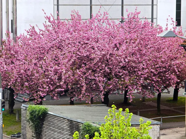 Foto: Heidrun Rosenberger