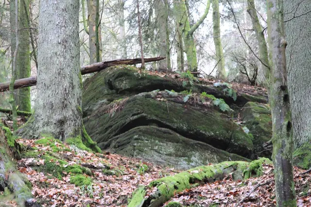 na der schaut aber grimmig | Foto: Ralf Röser