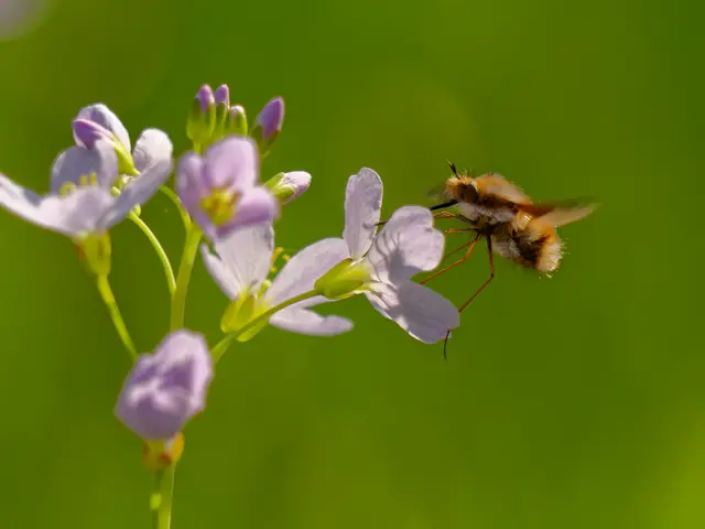 Foto: Eigenes Bild TB