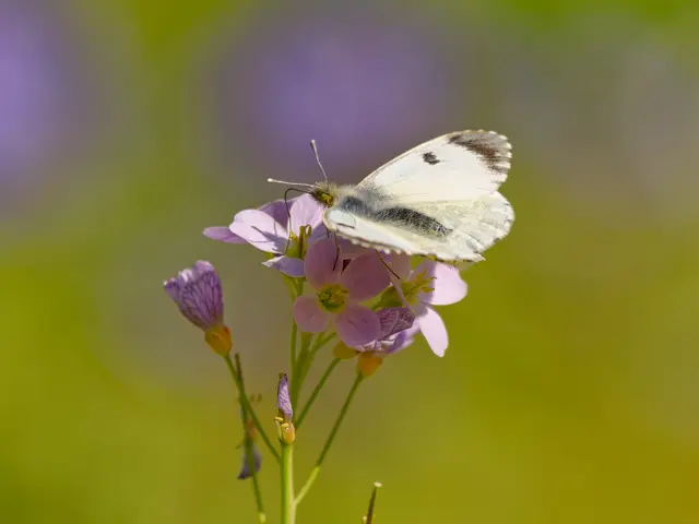 Foto: Eigenes Bild TB