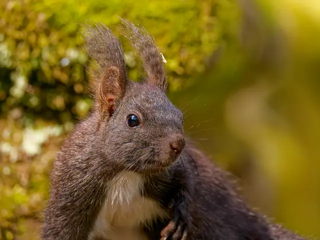 Foto: Eigenes Bild TB