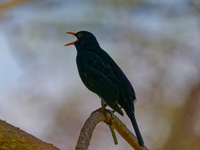 Foto: Eigenes Bild TB