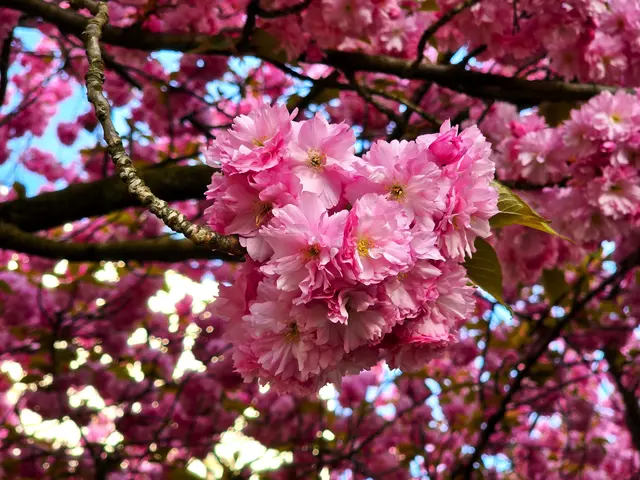 Foto: Heidrun Rosenberger