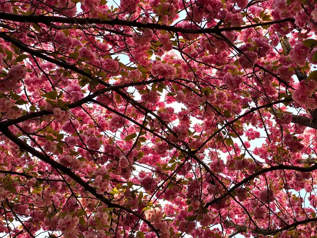 Foto: Heidrun Rosenberger