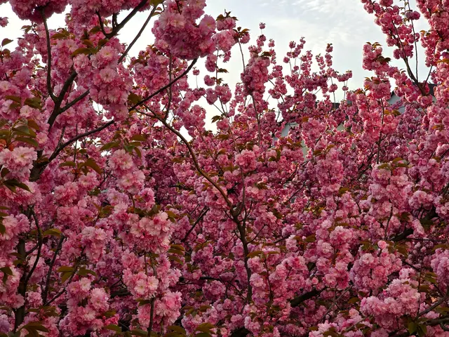 Foto: Heidrun Rosenberger