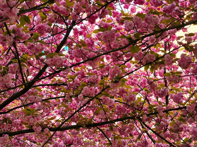 Foto: Heidrun Rosenberger