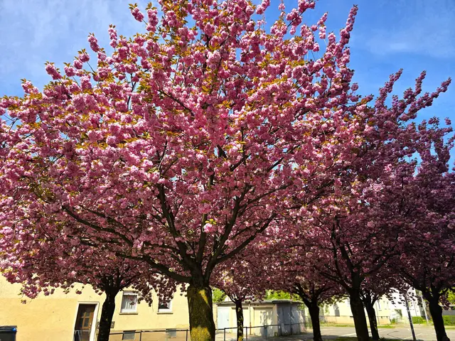 Foto: Heidrun Rosenberger