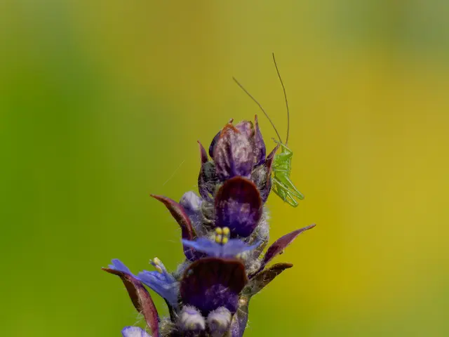 Foto: Eigenes Bild TB