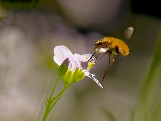 Foto: Eigenes Bild TB