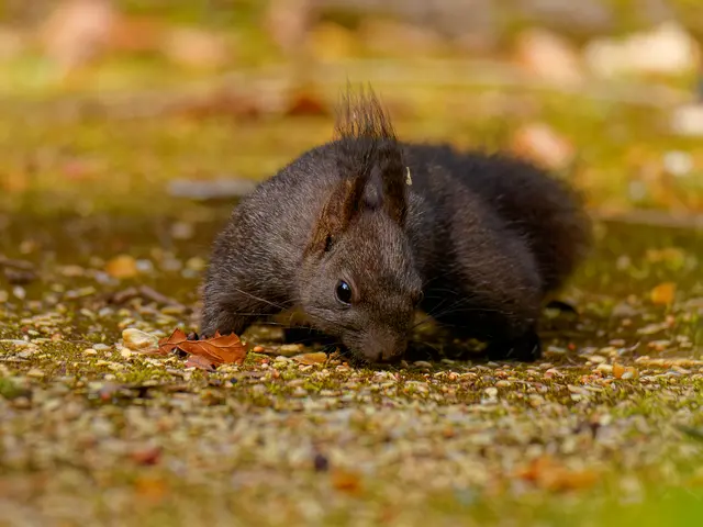 Foto: Eigenes Bild TB