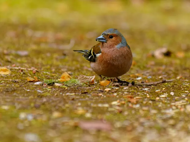 Foto: Eigenes Bild TB