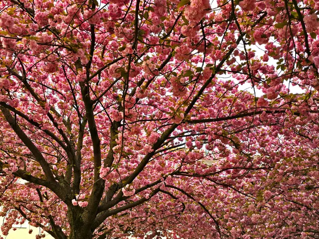 Foto: Heidrun Rosenberger