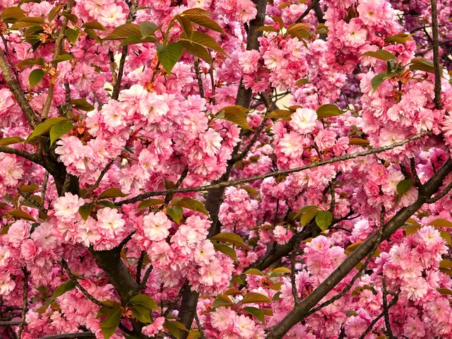 Foto: Heidrun Rosenberger