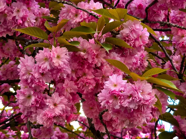 Foto: Heidrun Rosenberger