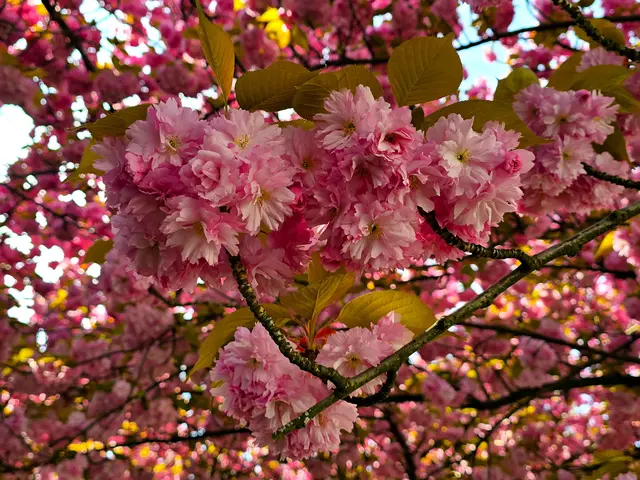 Foto: Heidrun Rosenberger