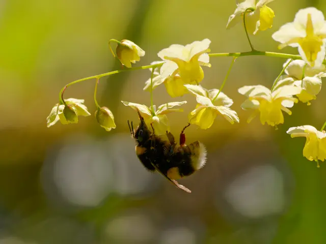 Foto: Eigenes Bild TB