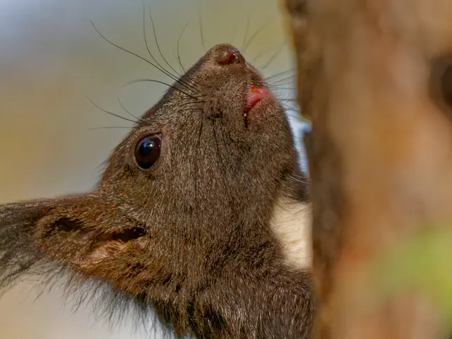 Foto: Eigenes Bild TB