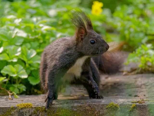 Foto: Eigenes Bild TB