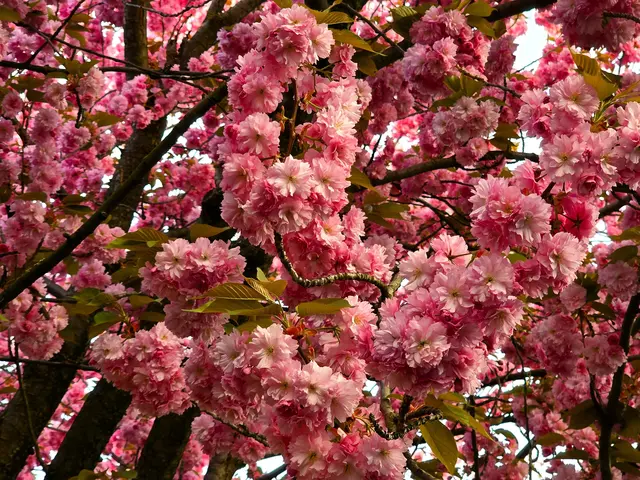 Foto: Heidrun Rosenberger