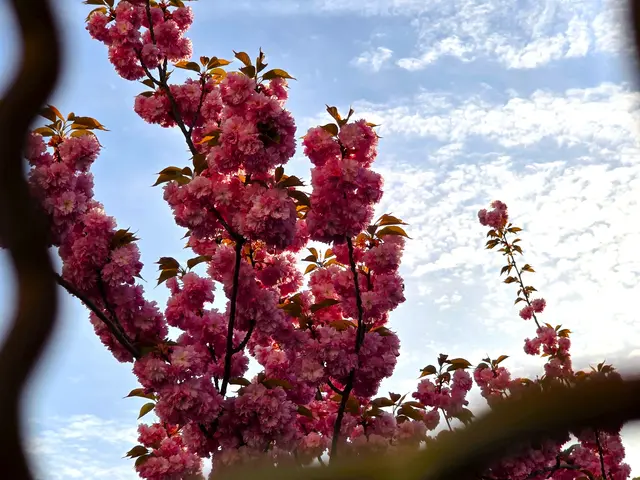 Foto: Heidrun Rosenberger