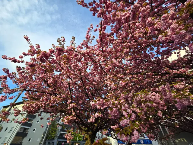 Foto: Heidrun Rosenberger