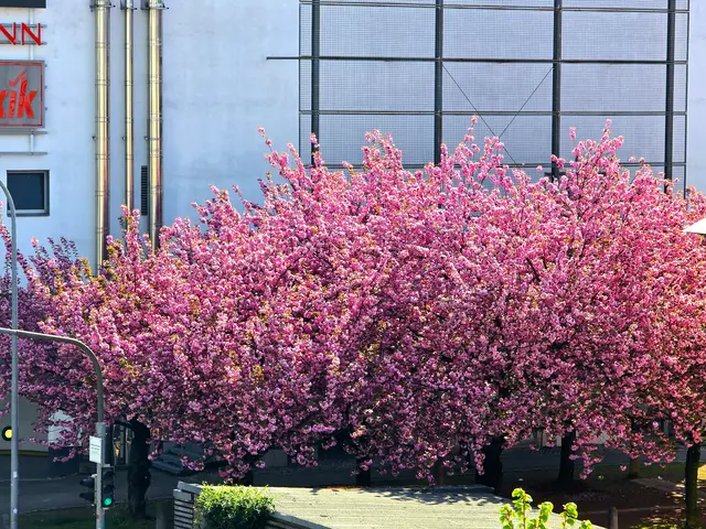 Foto: Heidrun Rosenberger