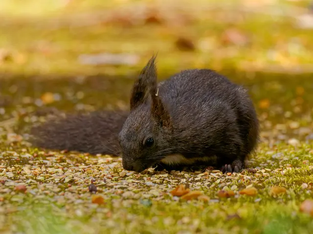 Foto: Eigenes Bild TB