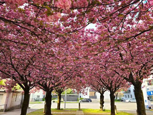 Foto: Heidrun Rosenberger