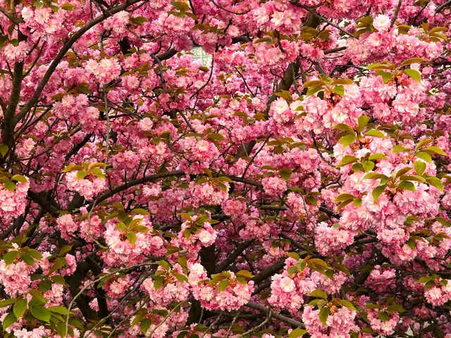 Foto: Heidrun Rosenberger