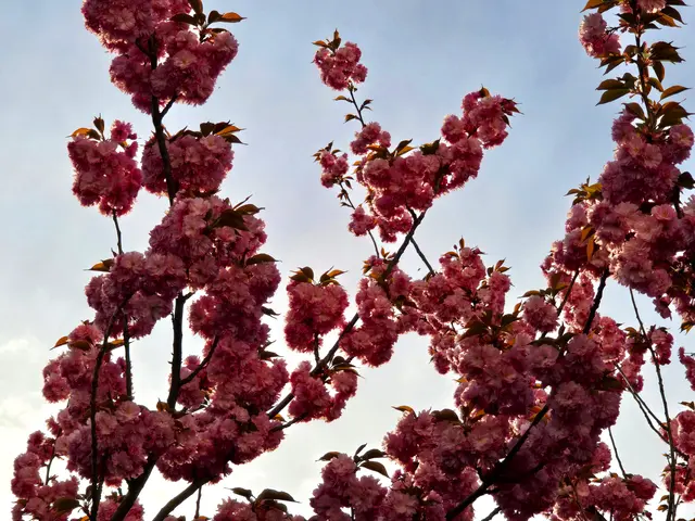 Foto: Heidrun Rosenberger