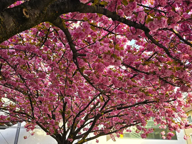 Foto: Heidrun Rosenberger