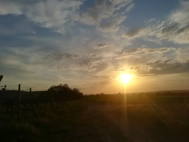 Sonnenuntergang Katzensteige | Foto: Lokale Agenda 21