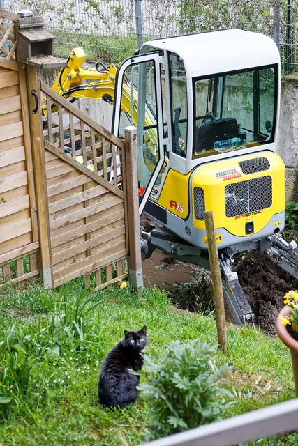 Hilfe, Daddy, was ist das???  Timmy ist schon mutig, der Motor läuft. | Foto: WKY