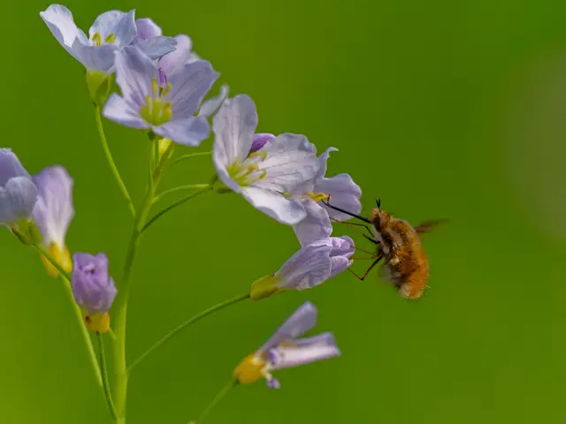 Foto: Eigenes Bild TB