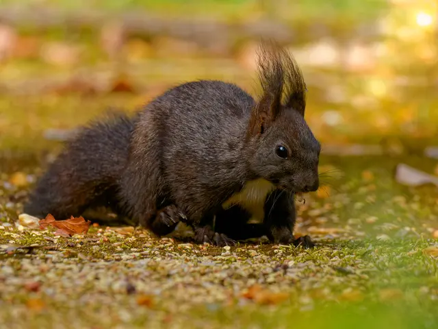 Foto: Eigenes Bild TB