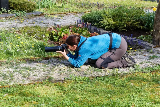 Voller Einsatz, wie immer 😸 | Foto: WKY